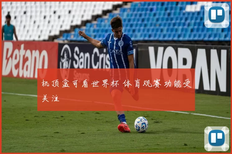 机顶盒可看世界杯 体育观赛功能受关注