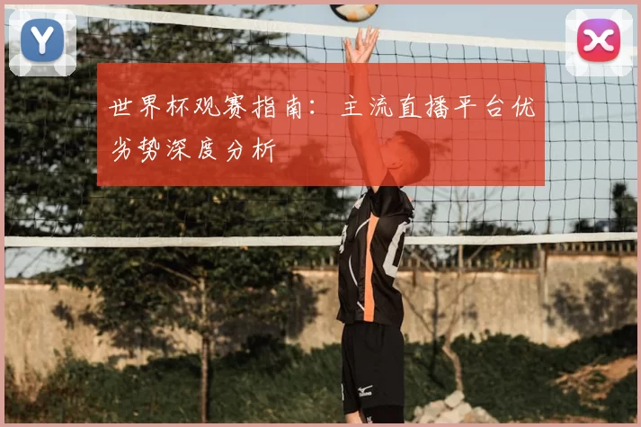 世界杯观赛指南：主流直播平台优劣势深度分析