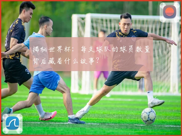 揭秘世界杯：每支球队的球员数量背后藏着什么故事？