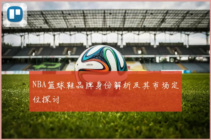 NBA篮球鞋品牌身份解析及其市场定位探讨