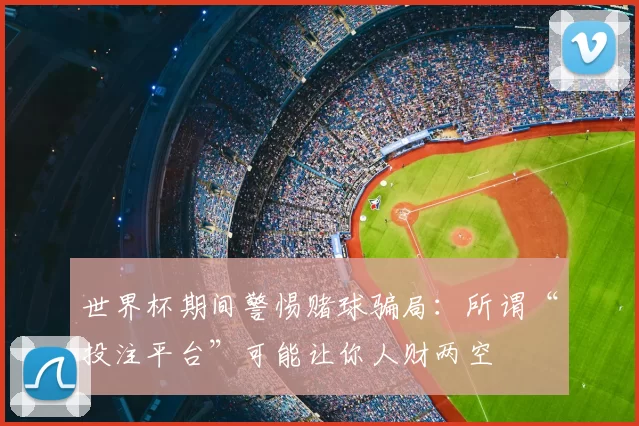 世界杯期间警惕赌球骗局：所谓“投注平台”可能让你人财两空
