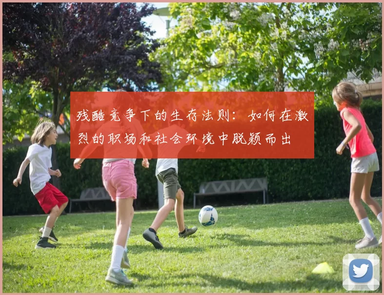 残酷竞争下的生存法则：如何在激烈的职场和社会环境中脱颖而出