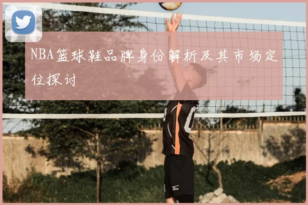 NBA篮球鞋品牌身份解析及其市场定位探讨