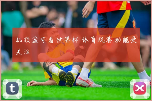 机顶盒可看世界杯 体育观赛功能受关注