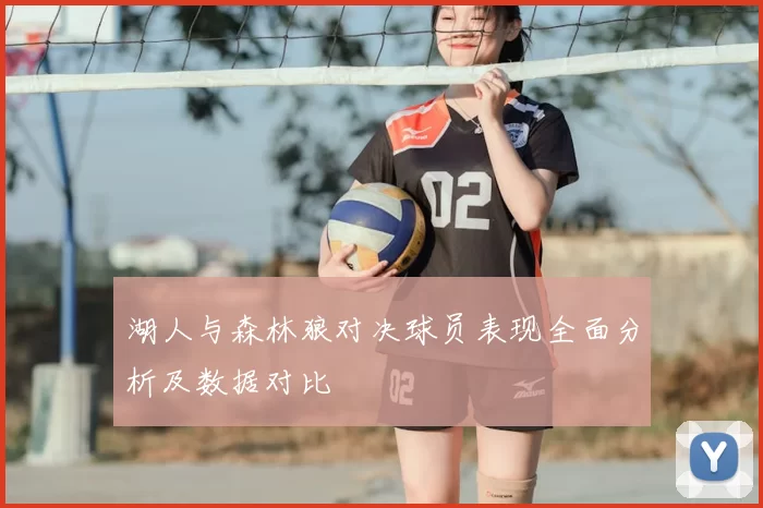湖人与森林狼对决球员表现全面分析及数据对比