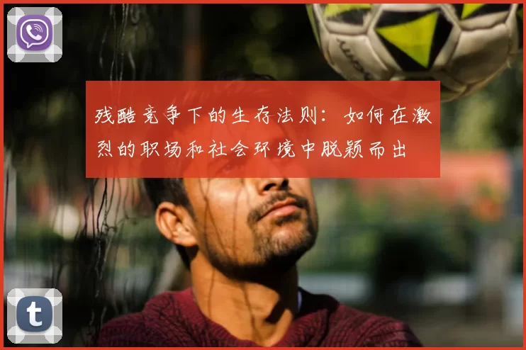 残酷竞争下的生存法则:如何在激烈的职场和社会环境中脱颖而出