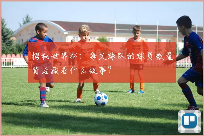 揭秘世界杯：每支球队的球员数量背后藏着什么故事？