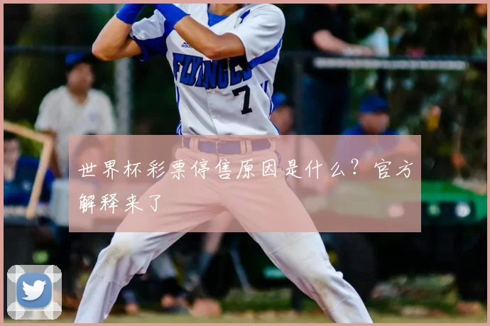 世界杯彩票停售原因是什么?官方解释来了