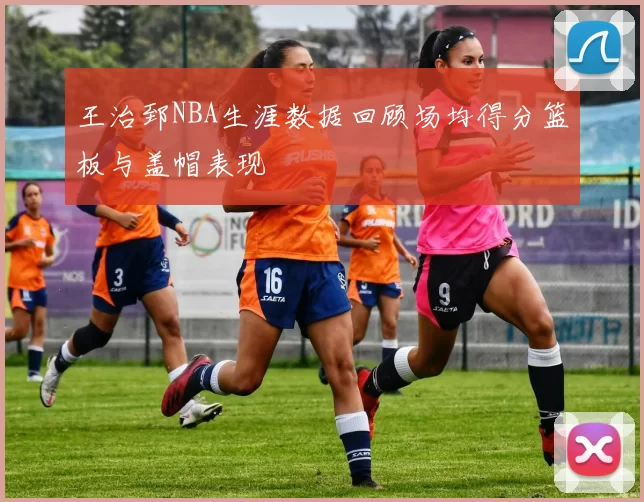 王治郅NBA生涯数据回顾场均得分篮板与盖帽表现