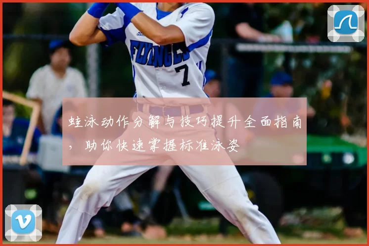 蛙泳动作分解与技巧提升全面指南,助你快速掌握标准泳姿