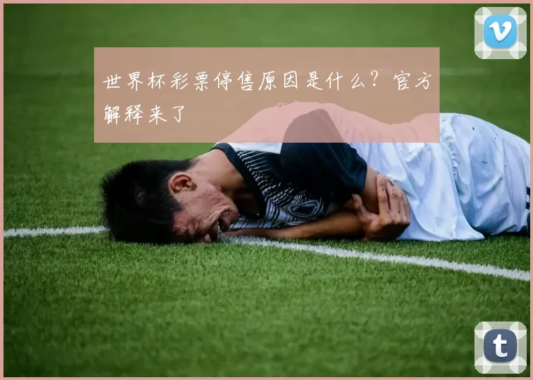 世界杯彩票停售原因是什么?官方解释来了